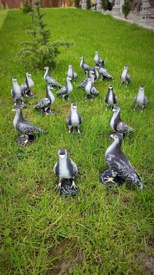 Porumbel